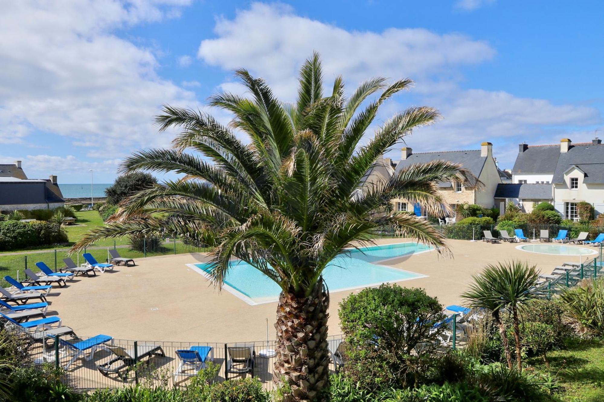 Localise - A18 - Avec Balcon - Petite Vue A Travers Le Palmier - Piscine De Avril A Septembre - Wifi Inclus - Animaux Admis - Draps Inclus - Parking Inclus Apartment *
